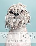 Image de Wet Dog