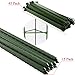 Tomato Cage 5ft 6-Pack Large Tall Tomato Cages Tomato Stakes Plants Supports Garden Stakes,40 Clips and Plant Ties Include, Green