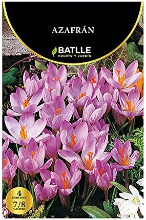 Bulbos - Azafrán - Batlle: Amazon.es: Jardín