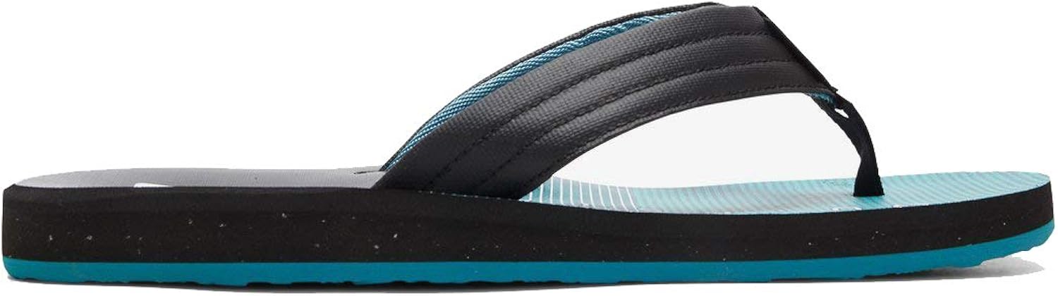 Quiksilver Men's Carver Print Sandal: Quiksilver: Shoes