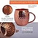 Moscow Mule Copper Mugs - Gift Set of 2 Pure Copper Cups With BONUS Shot Glass and Straws