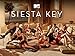 Siesta Key Season 2