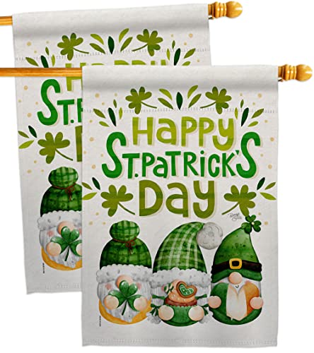 Breeze Decor Patty Gnomes 2 Pcs Tapestry Banner Pack Flags St Patricks Day Iris…