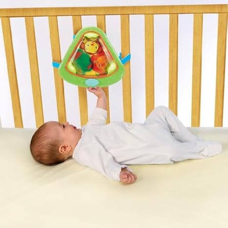 bright starts swingin safari