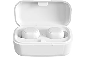 Sanpyl Wireless Translator Earbuds, J4 Translation Device TWS 84 Languages Online Translation Real Time Voice Language Translator with Bluetooth and APP, Simultaneous Interpretation(White)
