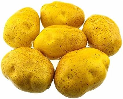 Mezly 6pcs Artificial Potatoes Large 4 inch Plastic Decorative Potatoes Vegetable Six Pieces