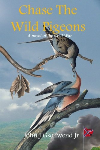 Chase The Wild Pigeons: A Novel of the Civil War