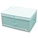 Collapsible Garment Storage Box for Wardrobe Organizer, Divider boards, Folding Lidded Underbed Storage Box, 60L, Green