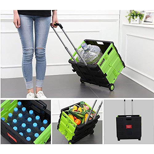 Dporticus Folding Two-Wheeled Trolley Hand Cart Plastic Hefty Heavy Carry Shopping Picnic Travel Office (Large, Green)