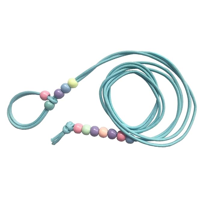 Balacoo Reptiles Leash Lizard Leash Adjustable Glow in The Dark Tortoise Harness Strap Pet