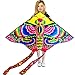 Hengda Kite So Beautiful Peony Butterfly Kite Single Line Kite Incudes 30m String and Handle