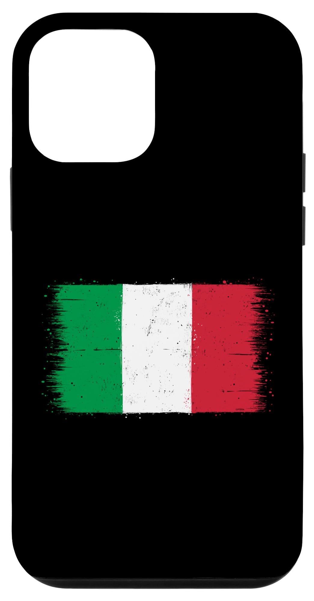 iPhone 12 mini Vintage Italy Flag on Italy Day for Expat or Proud Italian Case