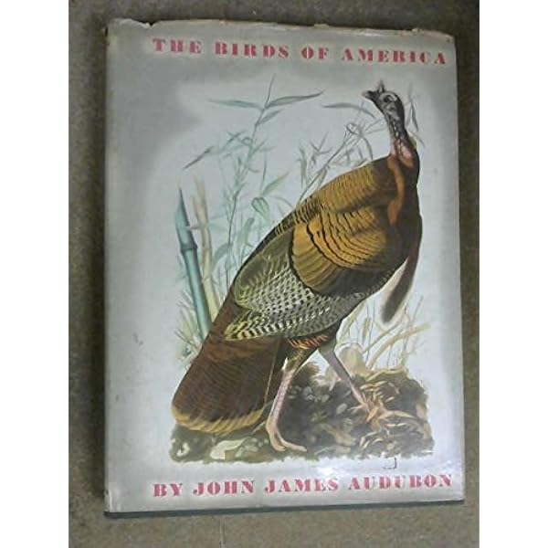 Lansdowne's Birds of the Forest　鳥の図鑑　洋書 Vintage Birds of the Northern Forest Fenwick Lansdowne Canada