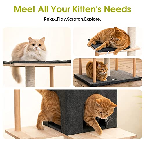 MWPO Modern Cat Tree 63-Inch Luxury Wood Cat Tower for Indoor