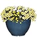 Classic Home and Garden Bellina Planter, 12