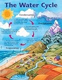 The Water Cycle FREE Printable Worksheets and Teaching Resources | HubPages