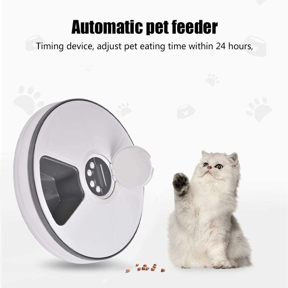 holiday cat feeder