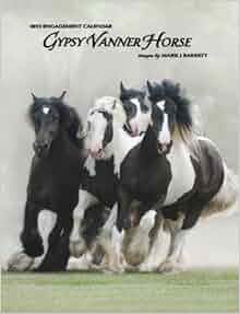 Gypsy Vanner Horse Engagement Calendar Mark J Barrett
