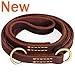 Dog Leash (Black, Medium)