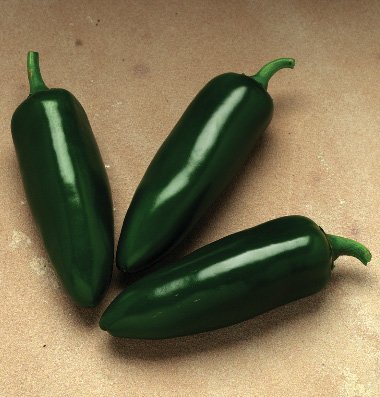 David's Garden Seeds Pepper Jalapeno Jalafuego SV3807 (Red) 25 Hybrid Seeds