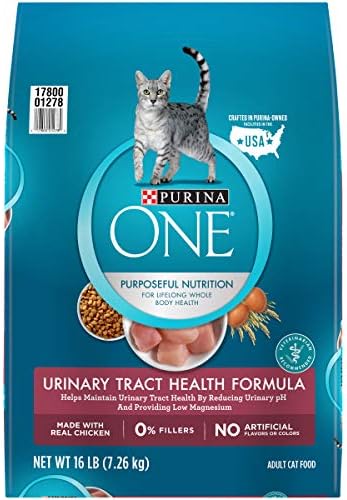 best cat food for uti health