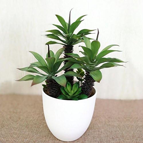Colomac Artificial Plants in Pots Simulation Bonsai More Meat Plant PE Material Leisure Places Office Display
