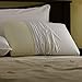 Pacific Coast Feather Restful Nights Even Form Latex Foam Pillow (King)