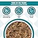 Weruva Cats in The Kitchen, Funk in The Trunk with Chicken in Pumpkin Consomme Cat Food, 6oz Can (Pack of 24)