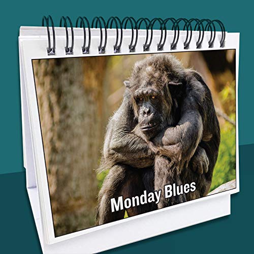 4 Coworkers+Hilarious+Accessories+Everyone+Business