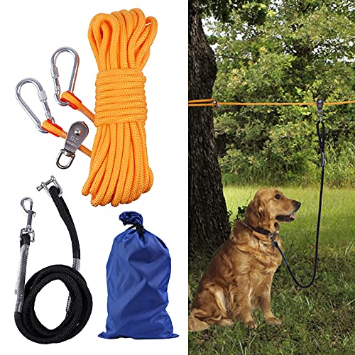 large dog trolley system