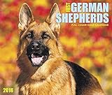 2016 Just German Shepherds  Box Calendar