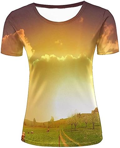 Dominichuer Womens Casual 3D Print Charming Countryside Sunset Pattern Summer Short Sleeve Crew Neck T-Shirts Novelty Couple Tees S