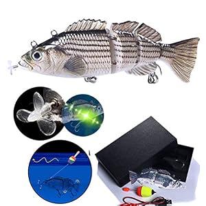Mifasa Electric Bait, Fishing Lure,swimming Robotic Segment Fishing Lure Usb Charging Swim Bait