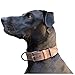 Hide & Drink, Rustic Leather Dog Collar for Medium Size Dog (12 to 21 in.) (1.25 in.) Wide, Handmade Includes 101 Year Warranty (Bourbon Brown)