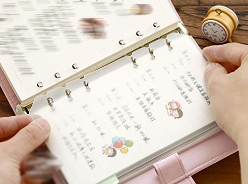 Eilova 6-Hole Clear Frosted PVC Sheet Pages Dividers Insertable Index Page Tab Cards for Travel Journal Diary Binder Notebook Memo Notepad(A5,10Pack)