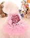 MaruPet Fashion Sweet Puppy Dog Blingbling Princess Skirt Pet Dog Lace Cake Camisole Tutu Dress Pink X-Small