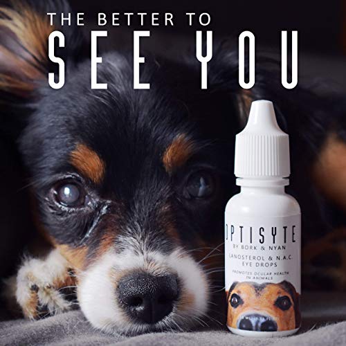 Optisyte Lanosterol & NAC Eye Drops Promotes Eye Clarity in Pets