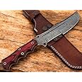 Poshland TR-1166, Custom Handmade Damascus steel Tracker Knife - Special Promotional Price