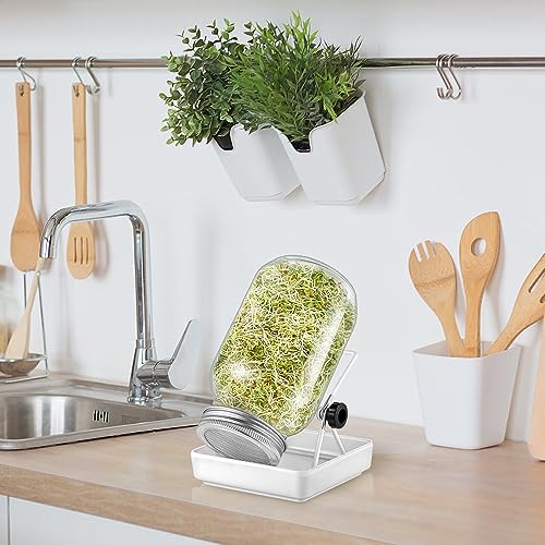 ecooe Sprossen SJFC01-N Germination Glass Set of 1 Germination Glasses for Sprouting Jar with 1 Water Bowl 1 Filter Mesh Cover Made of 304 Stainless Steel and 1 Stand
