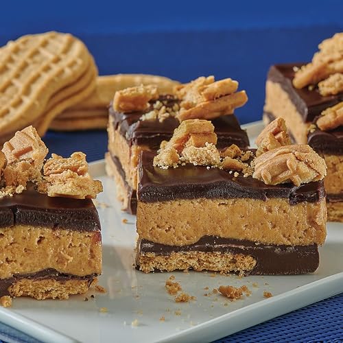 NUTTER BUTTER PEANUT BUTTER SANDWICH COOKIES, FAMILY SIZE, 16 OZ