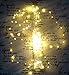 QUALIZZI Starry Lights with Remote Control/Dimmable (33 Feet /100 LEDs). Very Pretty Bright Fairy Light Lights on LED Copper Wire Indoor String Lights. Enjoy Magic Decorative Garlands All Year Around