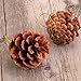 Unomor 36pcs Christmas Pine Cone Ornaments with String Natural Wood Rustic Christmas Tree Decoration Crafts Christmas Home Hanging Ornament 4-6cm