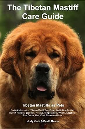 red tibetan mastiff for sale