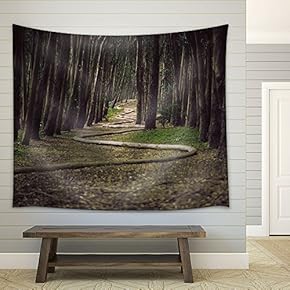 Cypress Forest - Fabric Wall Tapestry Home Decor - 51x60 inches