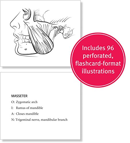 Download Anatomy Coloring Book Kaplan Anatomy Coloring Book Pricepulse