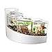 Aqueon Betta Falls Kit, White
