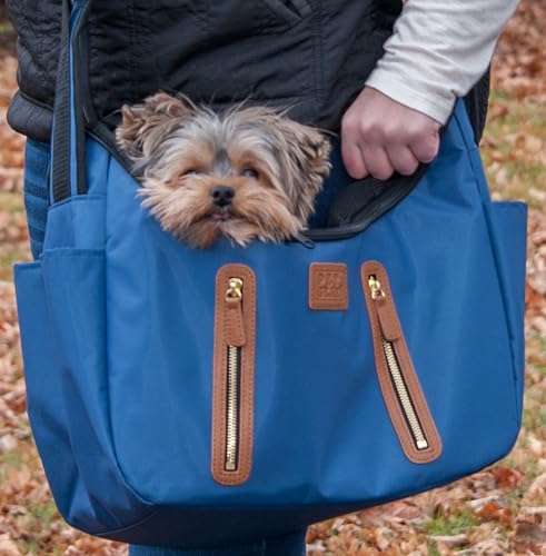 Pet Gear Carrier and Car Seat, Caribbean Blue