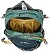 Osprey Daylite Daypack (Prior Season)