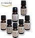 Abbys Aromas Premium Floral Fragrance Oil 7 Fragrances (6 + 1 Bonus Scents = 7 Total), Vegan, Phthalates Free