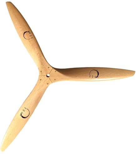 Amazon.com: XOAR PJWWII-R3-P 13x7 RC Warbird Airplane Pusher
